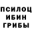 Псилоцибиновые грибы GOLDEN TEACHER Victoria Adams