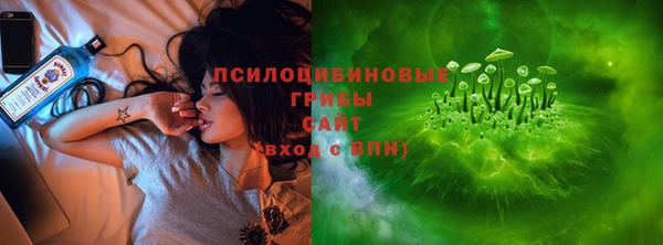 2c-b Богородицк