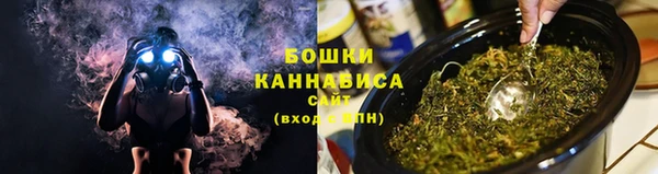 шишки Богданович