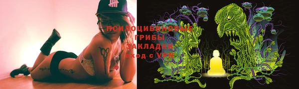 шишки Богданович