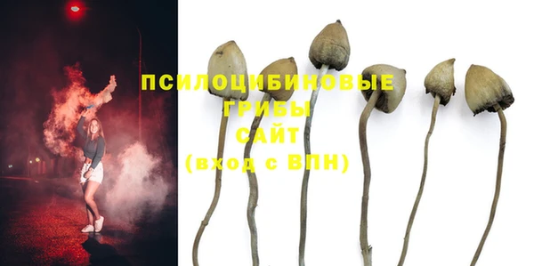 шишки Богданович