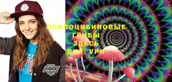 2c-b Богородицк